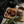 Load image into Gallery viewer, Mistletoe - Christmas Tea Towel - Black