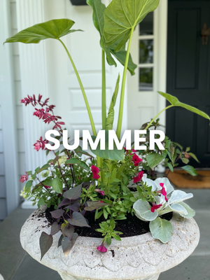 Container Gardening | Fairfield CT