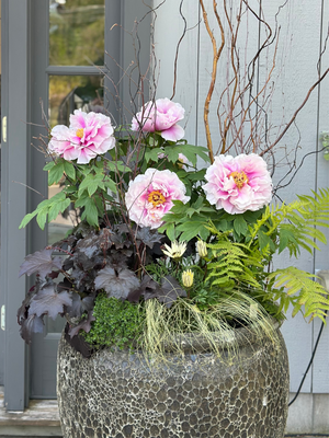 Container Gardening | Fairfield CT