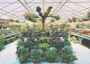 Garden Center | Fairfield CT