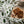 Load image into Gallery viewer, Greenery - Christmas Tea Towel - White