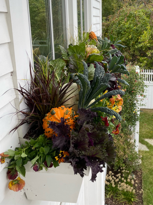 Container Gardening | Fairfield CT