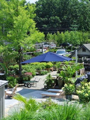 Garden Center | Fairfield CT