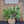 Load image into Gallery viewer, RESERVED HOLIDAY POP - IN PLANTER