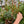 Load image into Gallery viewer, RESERVED HOLIDAY POP - IN PLANTER