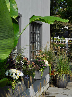 Garden Center | Fairfield CT