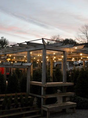 Garden Center | Fairfield CT