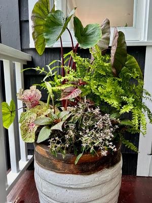 Container Gardening | Fairfield CT