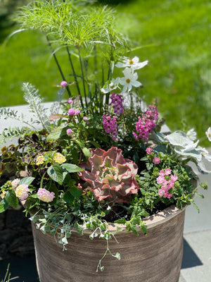 Container Gardening | Fairfield CT