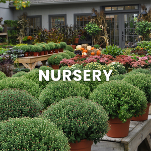 Plant Nursery | Fairfield CT