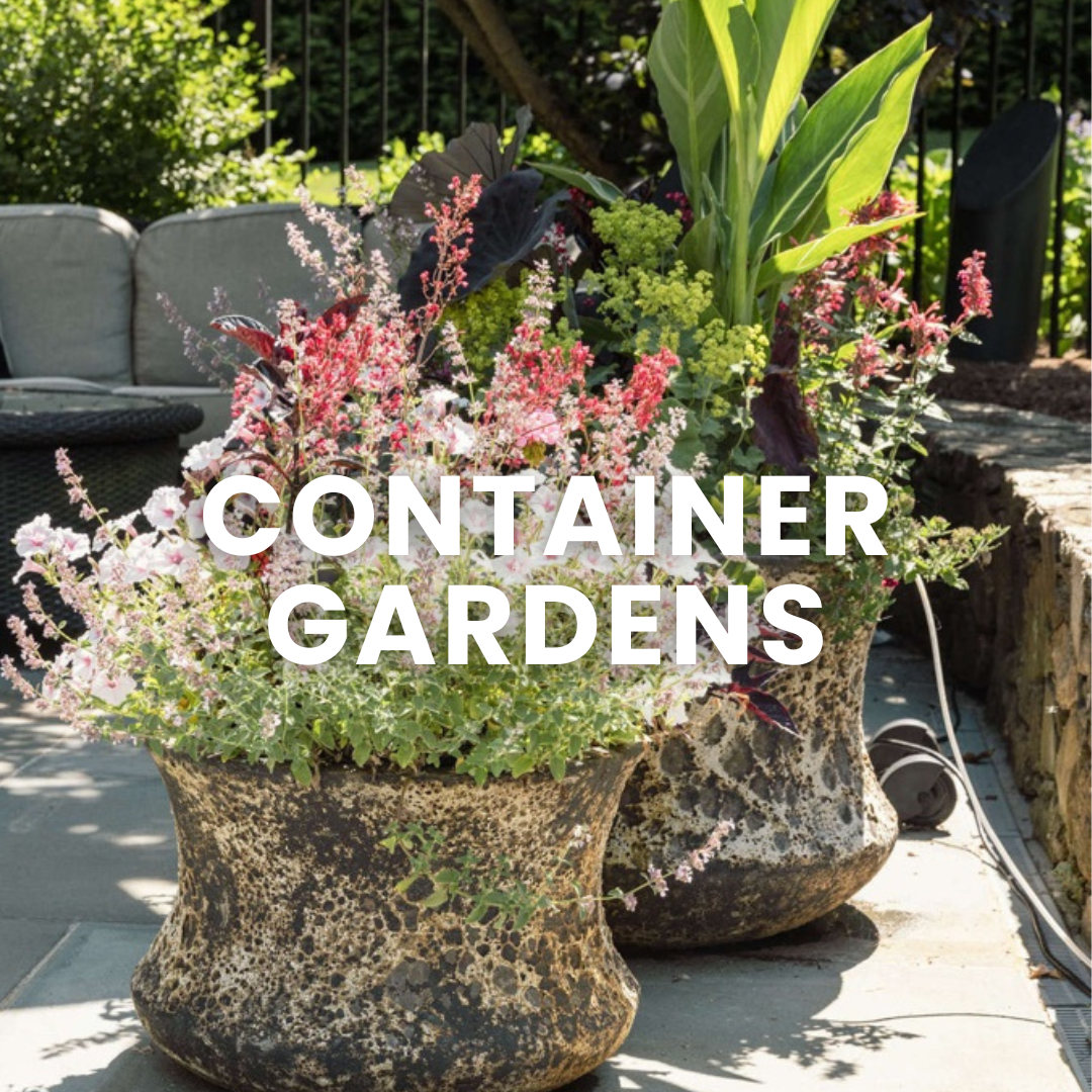 Container Gardening | Fairfield CT
