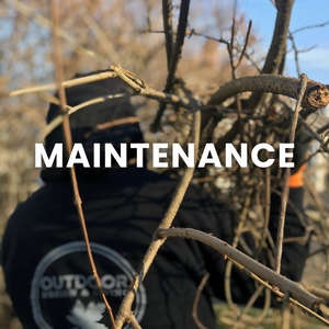 Lawn Maintenance | Fairfield CT