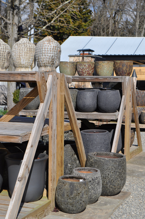 Garden Center | Fairfield & Guilford CT