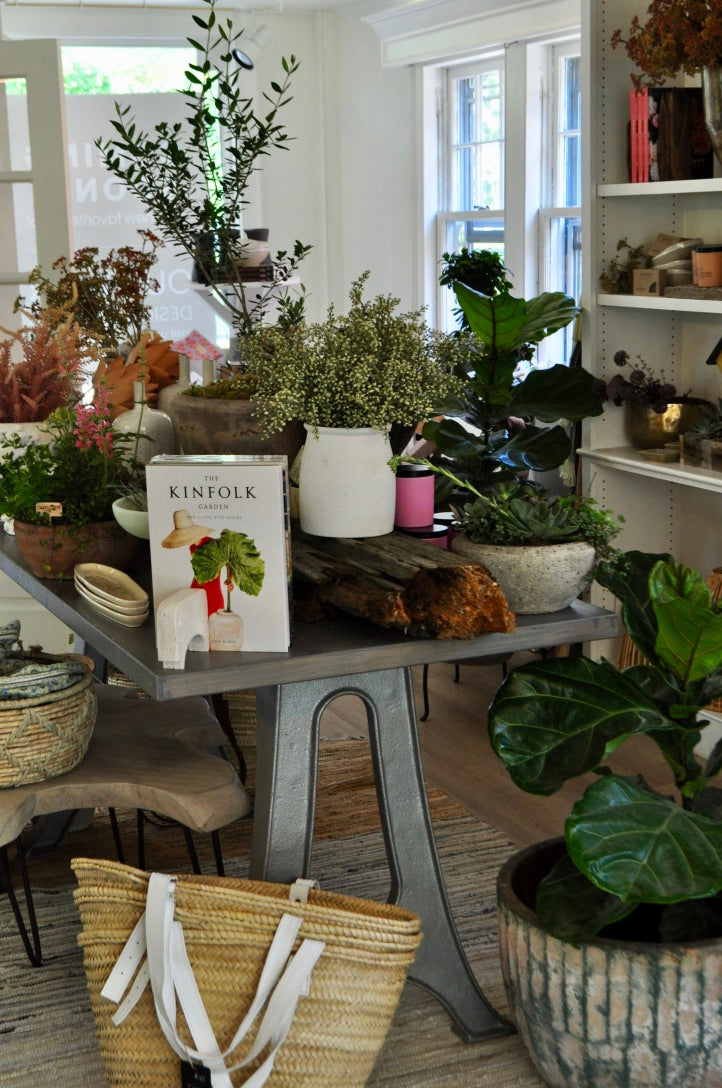 Outdoor Design Guilford CT Outdoor Design & Living Store