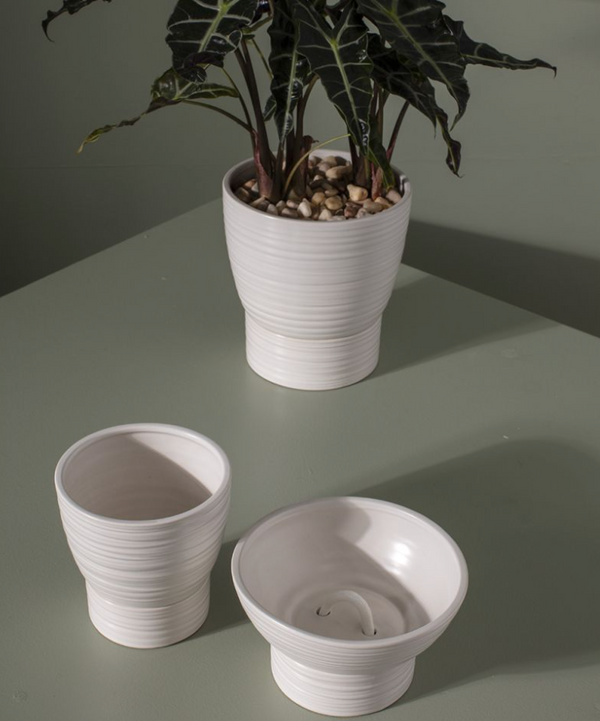 Olin Pot 6" x 6.5"