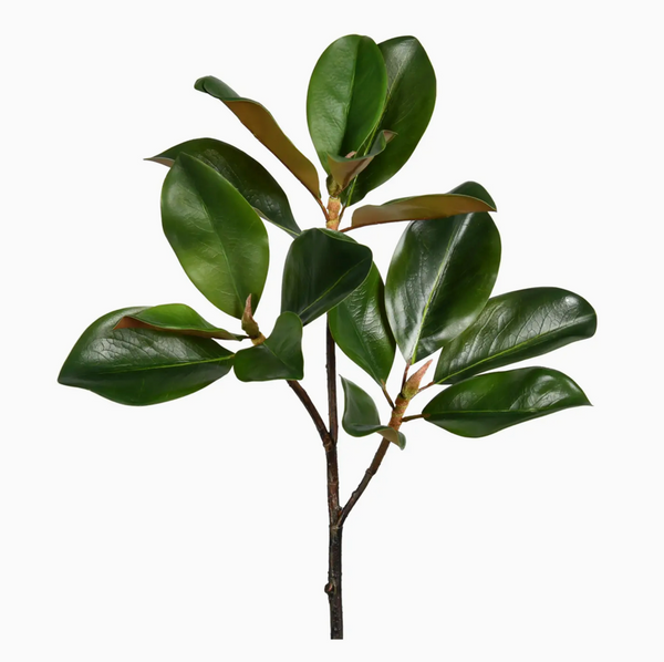 Magnolia Leaf Faux Branch 24 Inch