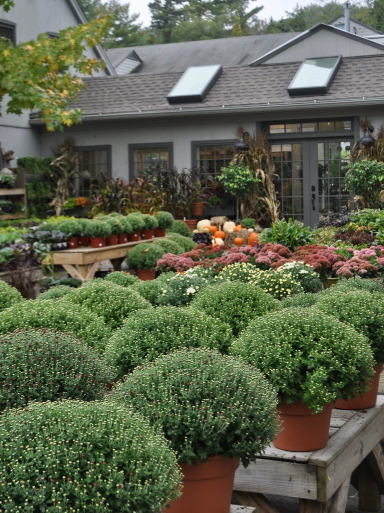 Garden Center Fairfield CT Outdoor Design & Living Store