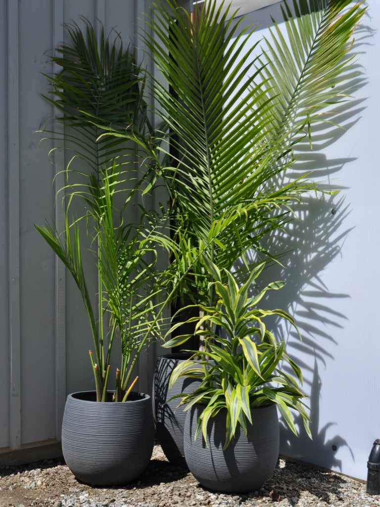 Garden Center Fairfield CT Outdoor Design & Living Store